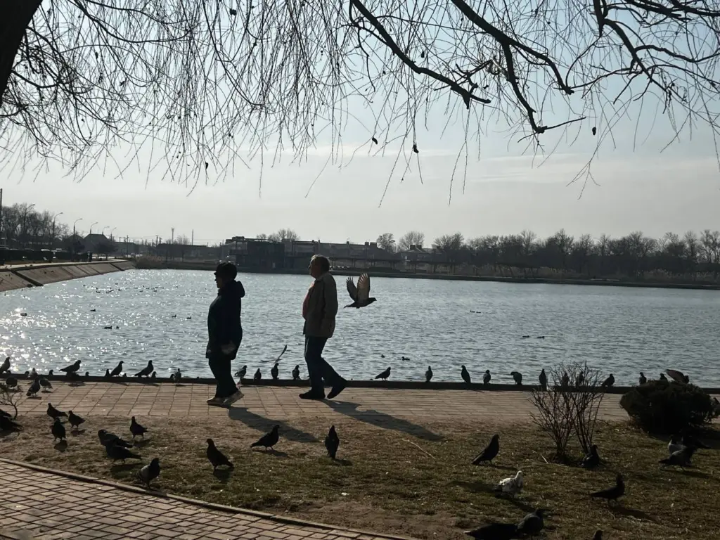 В 62 года на пенсию: для российских мужчин пенсионный возраст снизят уже с 2026 года