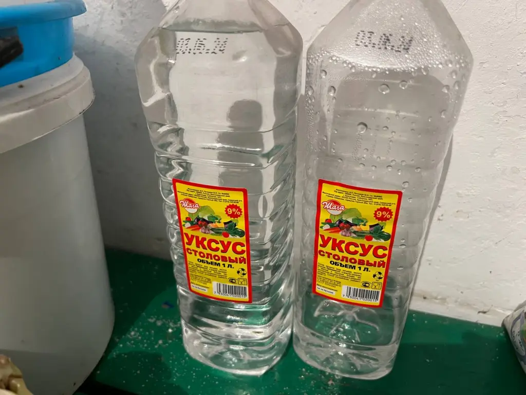 Как уксус спасает от зимних проблем: секрет деревенского старца, который стоит взять на заметку