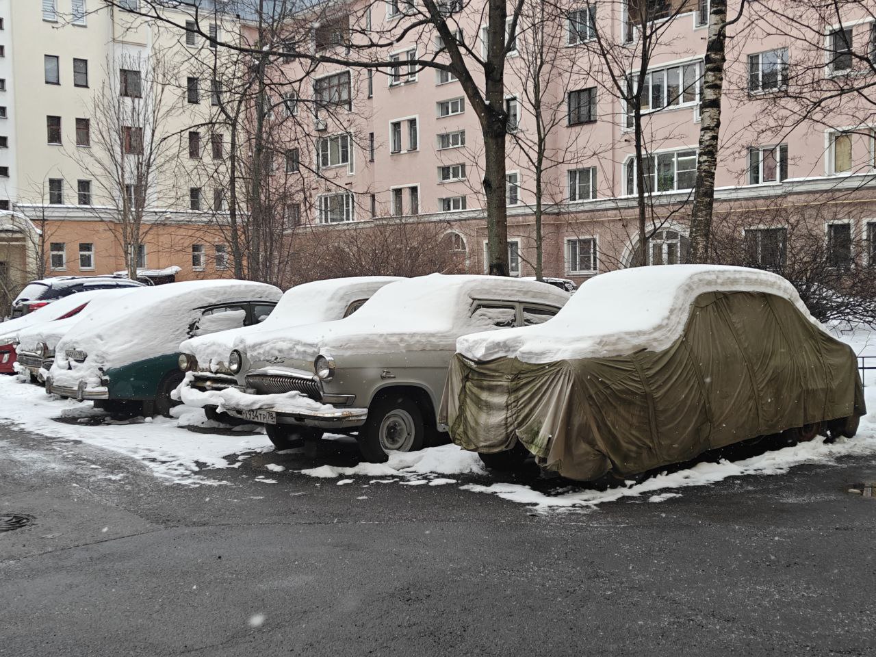Редкие советские автомобили десятилетиями простаивают во дворе Петербурга