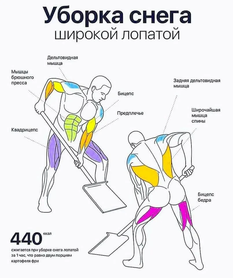 Уборка снега сжигает до 440 калорий в час