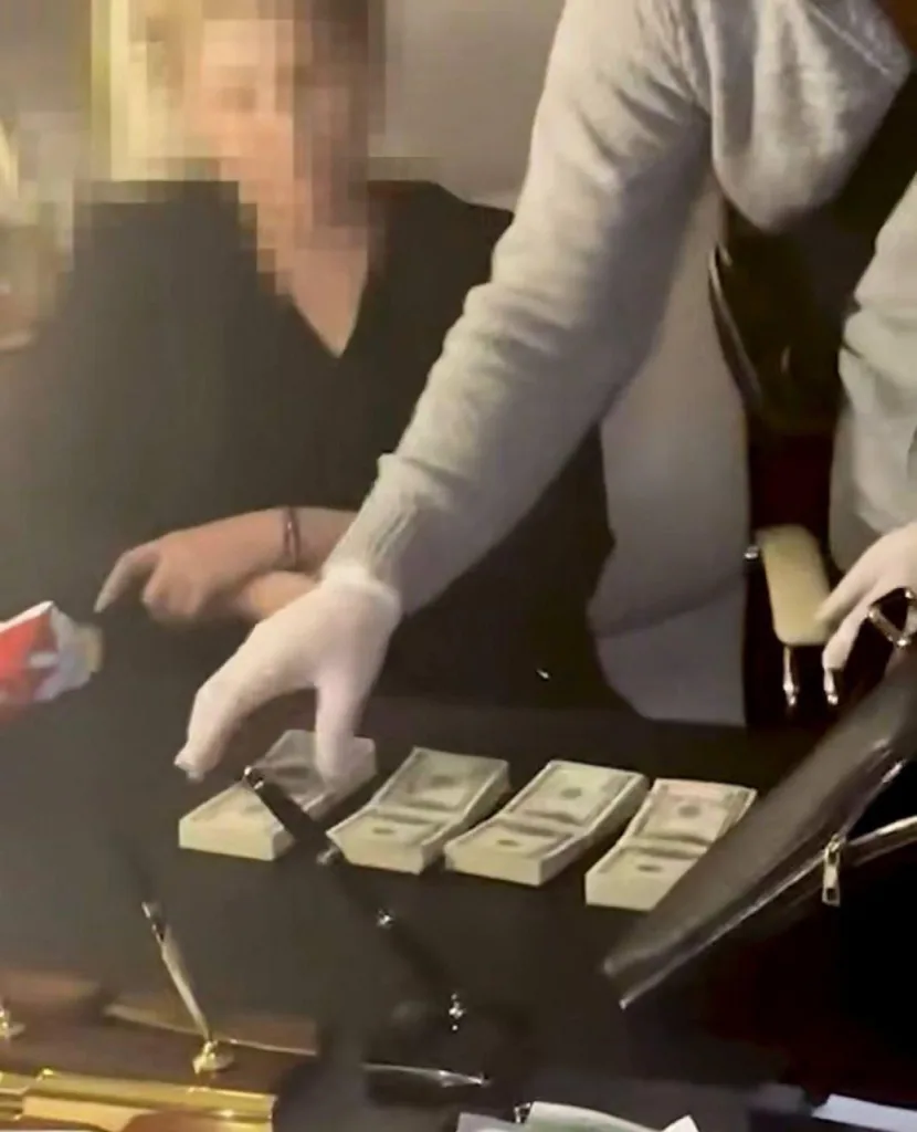 Пачки долларов и заблюренное лицо: появились кадры обысков у Тимошенко