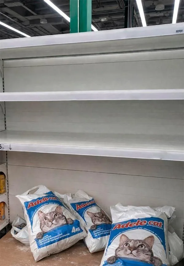 «Ходите в лотки назло России»: украинцы скупают кошачьи наполнители