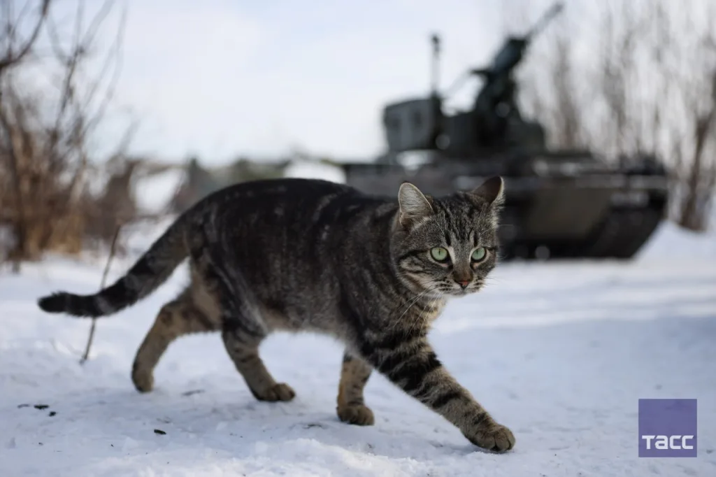 Ударные НРТК "Курьер", тяжелые буксиры НРТК "Челнок" и легкие транспортники НРТК "Омич" на вооружении добровольческой разведывательно-штурмовой бригады "Невский" ВС РФ