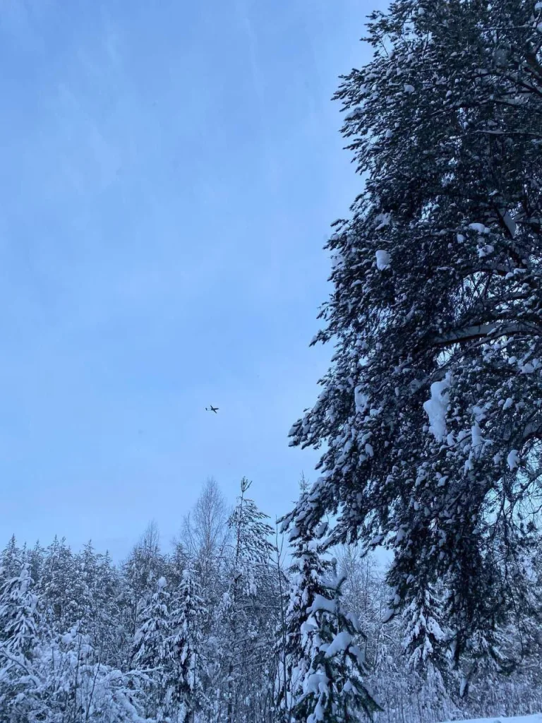 Несколько украинских дронов-камикадзе Ан-196 «Лютый» атаковали НПЗ «Лукойл-Ухтанефтепереработка» в городе Ухта Республики Коми, расположенный в 1700 км от границы с Украиной