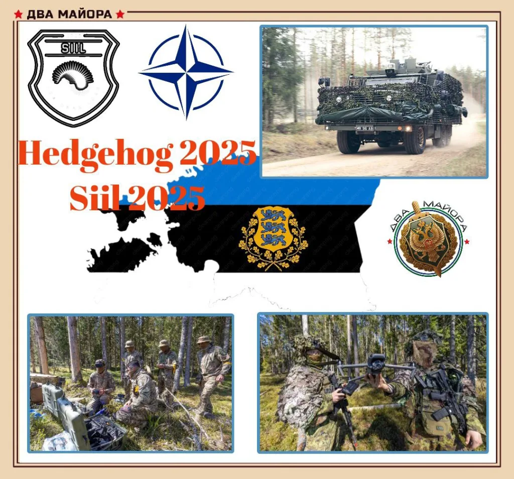 НАТО напрямую перенимает опыт военных действий против России