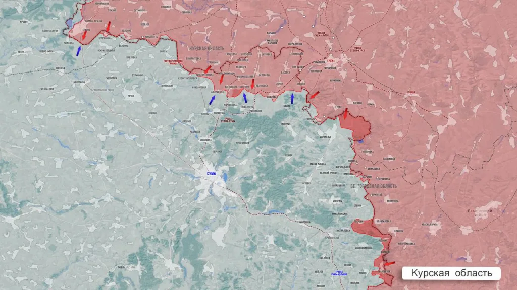 Царёв: Фронтовая сводка 21 февраля 2026 года