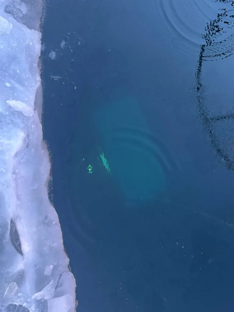 За рулём утонувшей на Байкале «буханки» с туристами был шаман