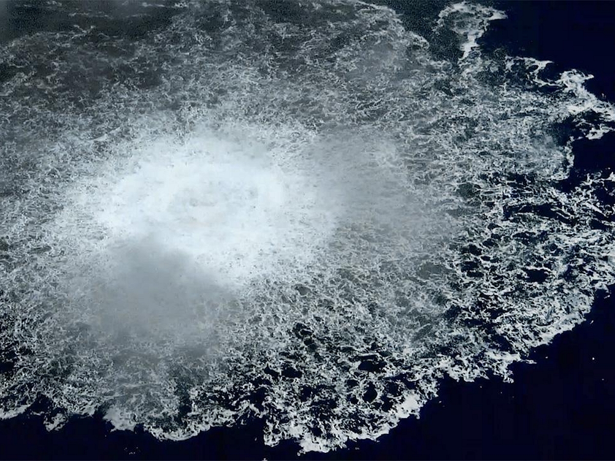 Der Spiegel: Залужный мог утвердить подрыв «Северных потоков», минуя Зеленского0