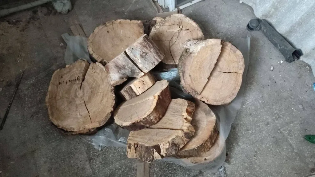 Реалии режима Зеленского: в Николаевской области у должника конфисковали распиленный пень