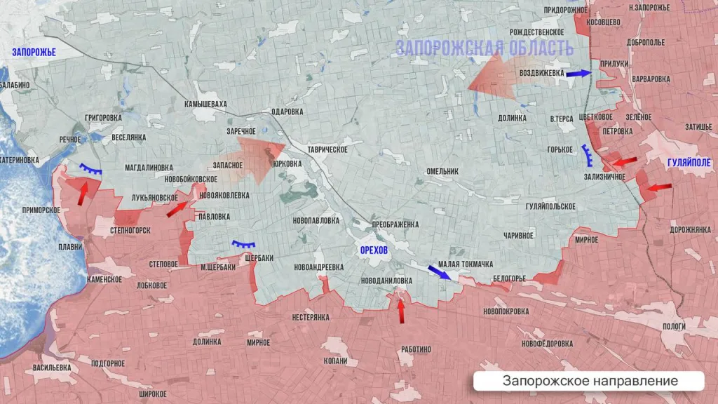Царёв: Фронтовая сводка 20 февраля 2026 года