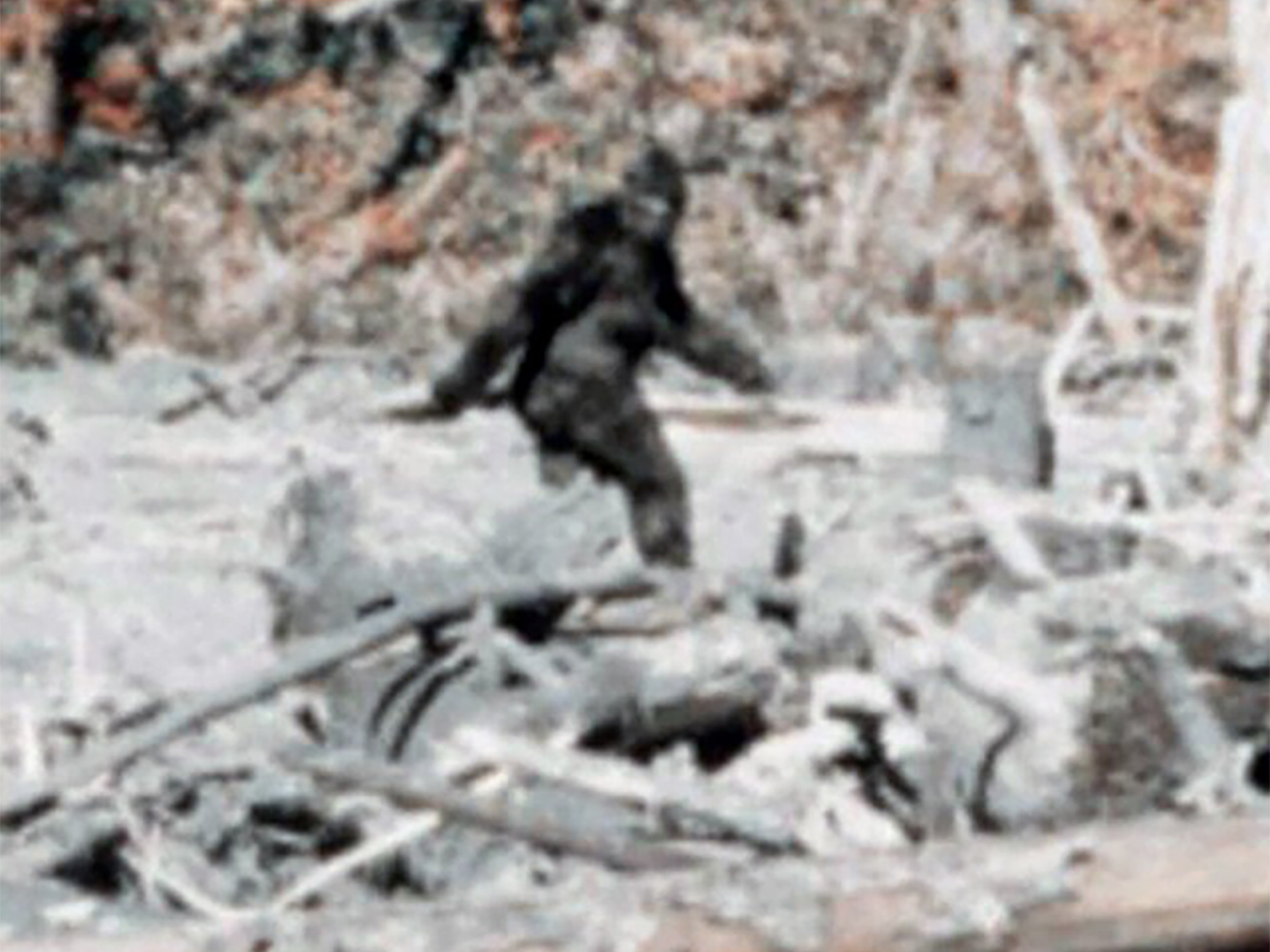 Морпех США рассказал, как на американскую военную базу проникло чудовище0