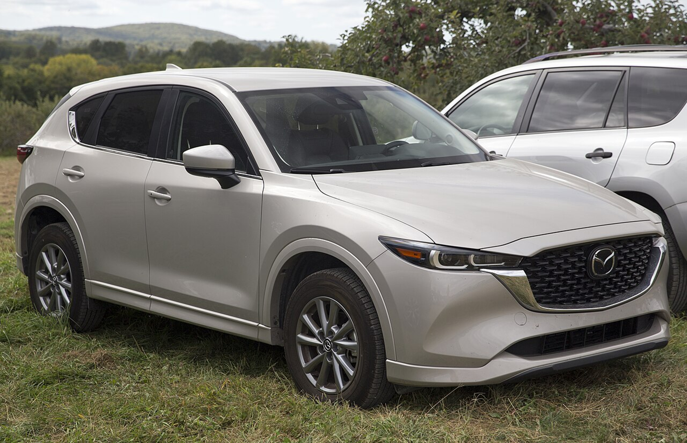 Сравнение Belgee X50, Mazda CX-5 и Skoda Kodiaq: нюансы эксплуатации и неожиданные выводы