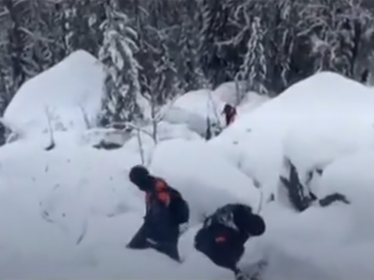 Семью Усольцевых увидели незадолго до исчезновения в тайге0