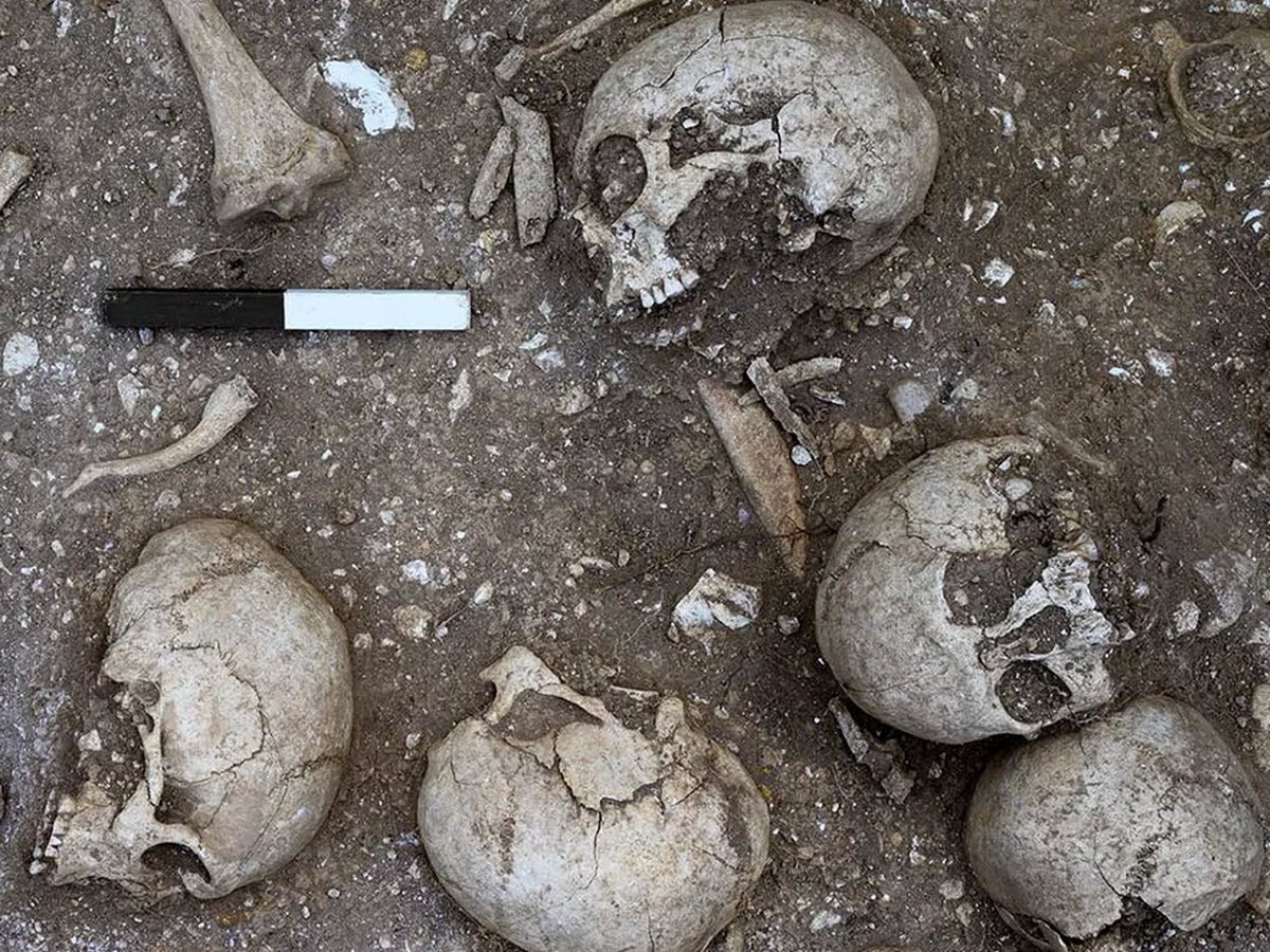 В Великобритании обнаружили скелет викинга-великана с отверстием в черепе0