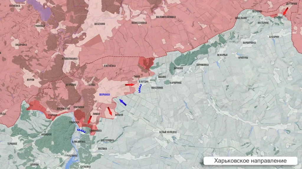 Царёв: Фронтовая сводка 19 февраля 2026 года