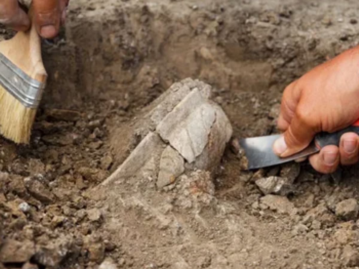 Исследователи восстановили лицо настоящего вампира, жившего 400 лет назад0