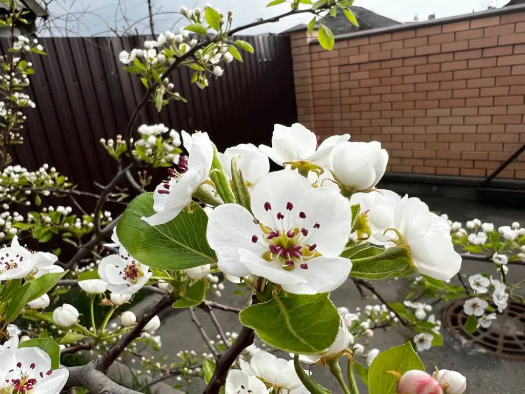 Марта не станет: синоптики озвучили новый прогноз — готовьтесь к одному из самых необычных месяцев