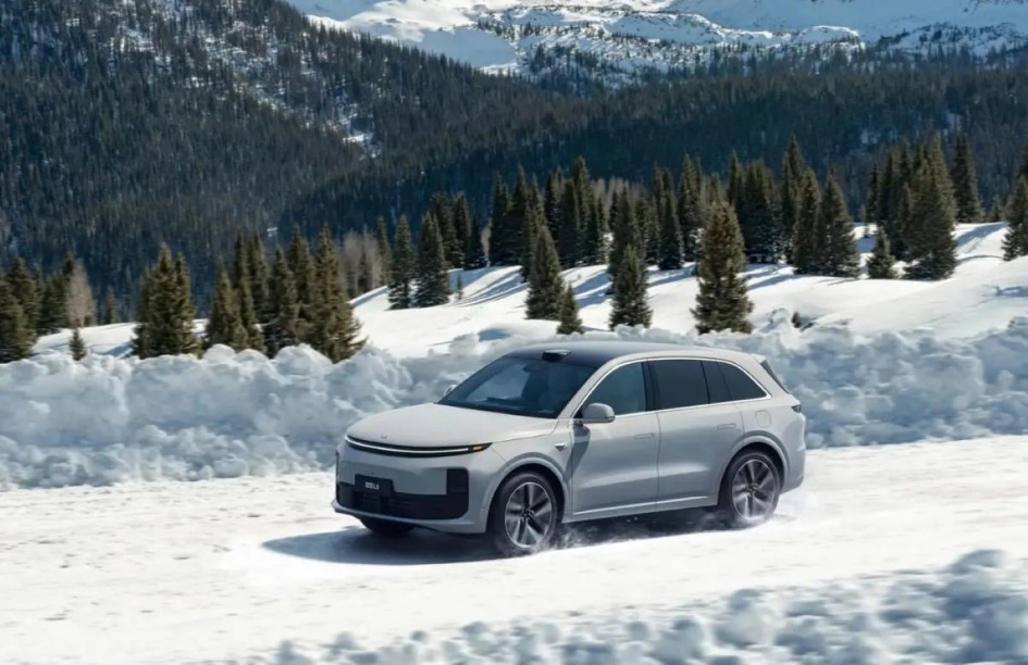 Проблемы кроссоверов Li: слабые места подвески, двигателя и электроники