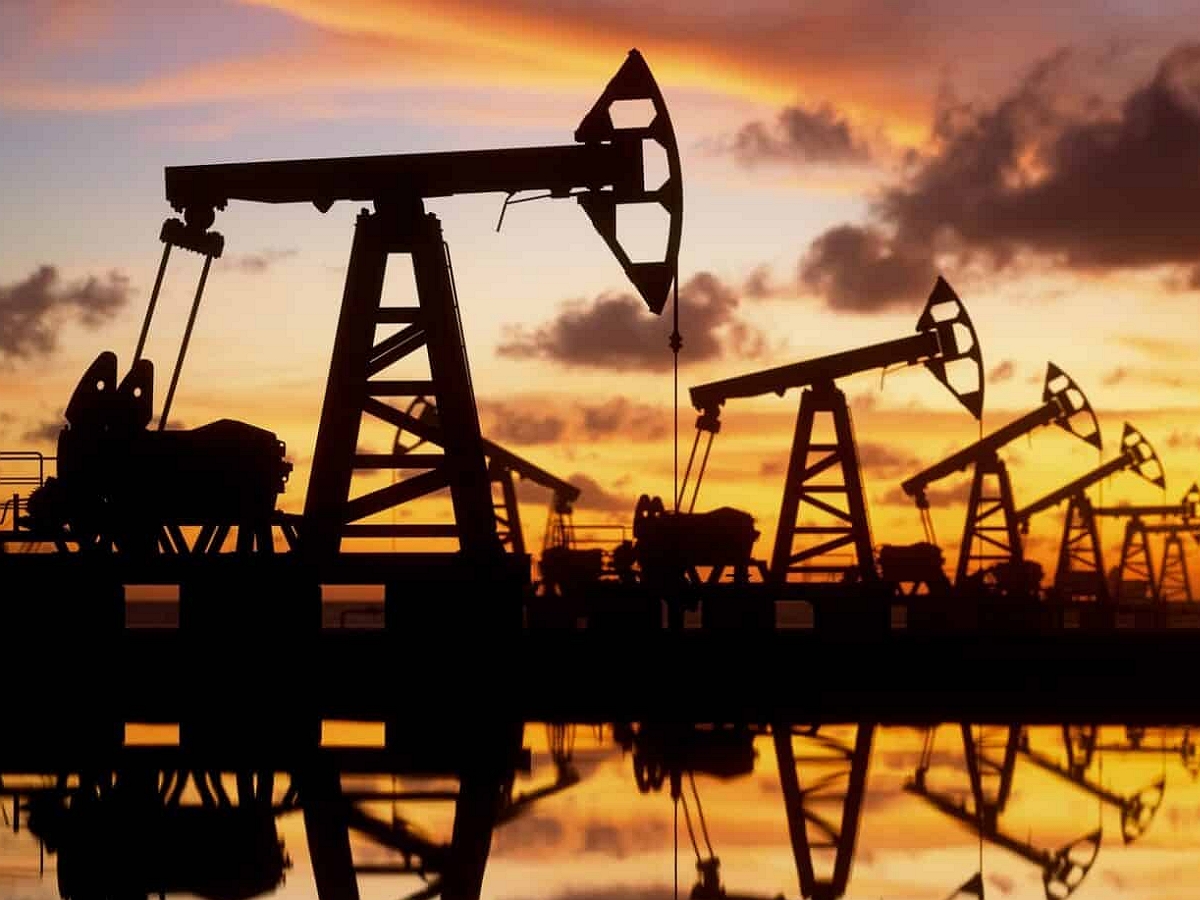 В Совфеде высказались о связях с Индией, отказавшейся от российской нефти0