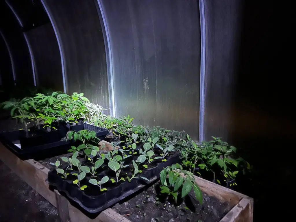 Не прозевайте свой урожай: точный график посевов на февраль-май 2026