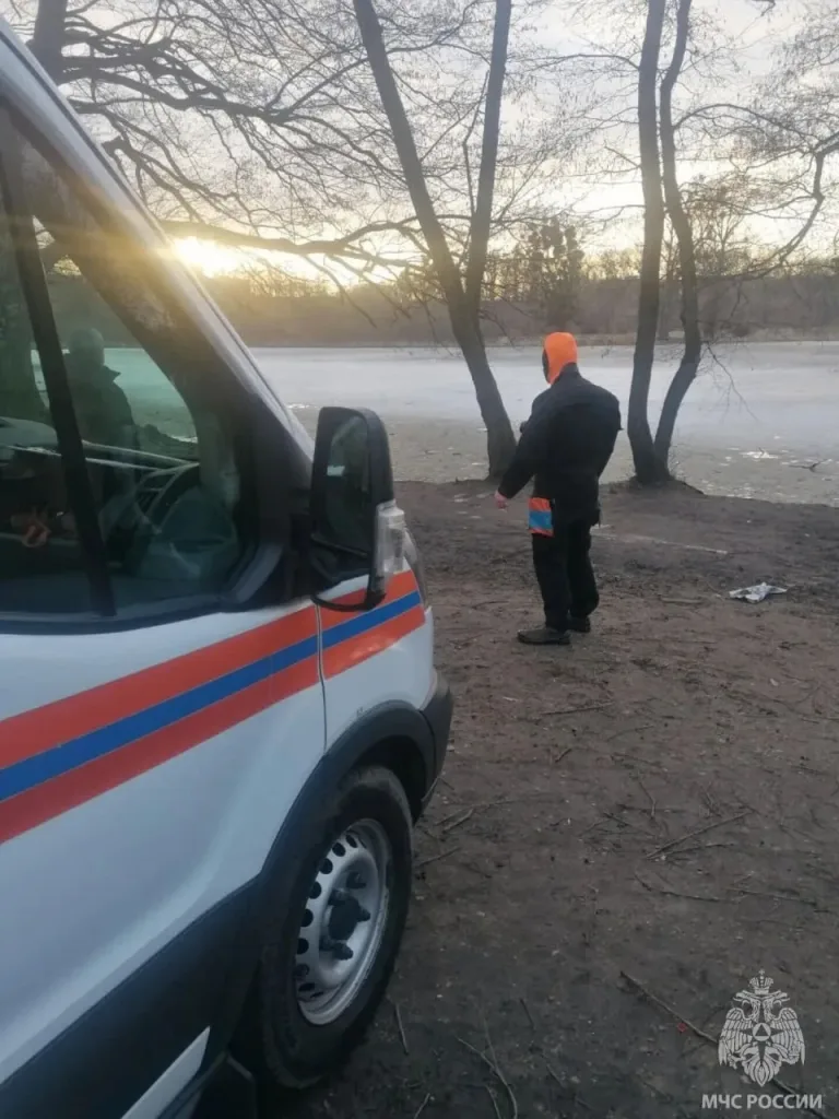Две девочки провалились под лед, пока гуляли с собаками на озере в Калининграде