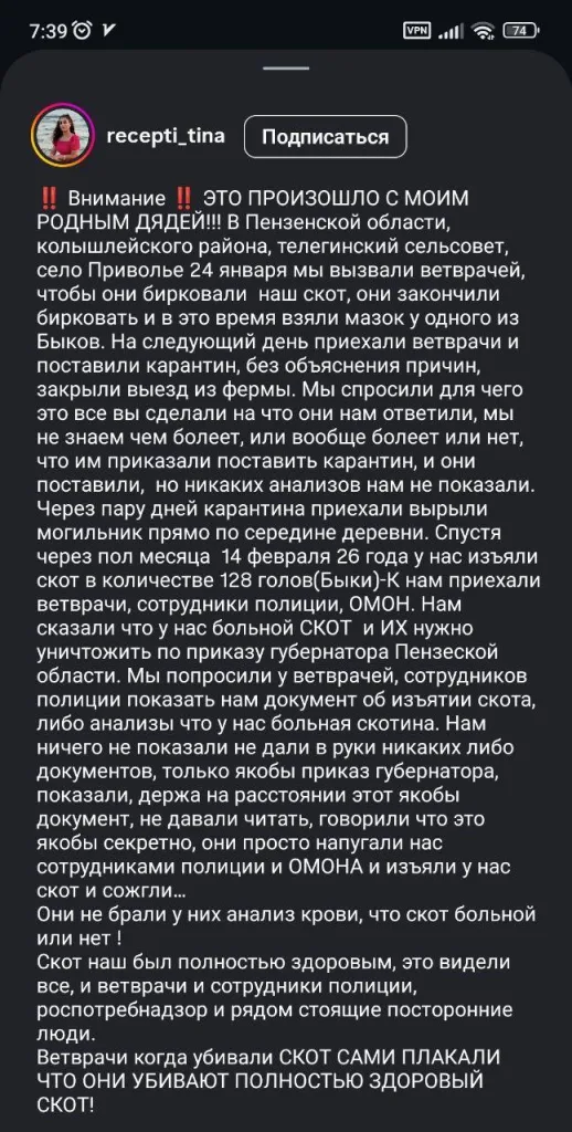 Массовый убой продолжается: вслед за Новосибирской областью скот истребляют в Поволжье