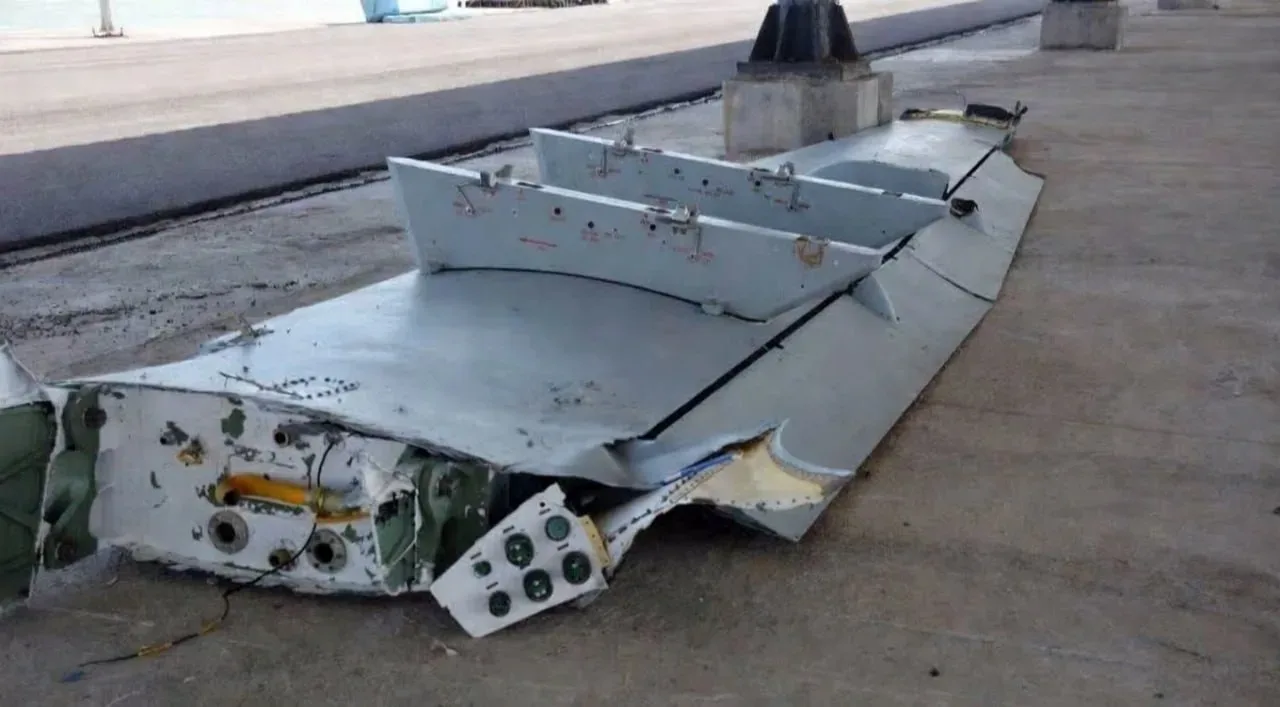 Обломки очередного БПЛА Wing Loong 2 китайского производства, обнаруженные у побережья Ирана. На этот раз их выловили местные иранские рыбаки в Ормузком заливе у порта Дейр в провинции Бушер