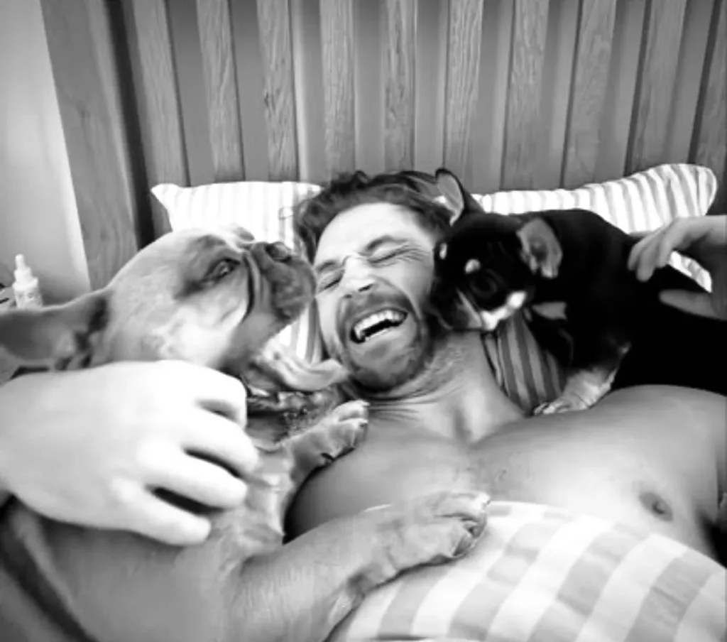 Французский бульдог из Великобритании стал настоящей звездой соцсетей и теперь зарабатывает больше своего хозяина