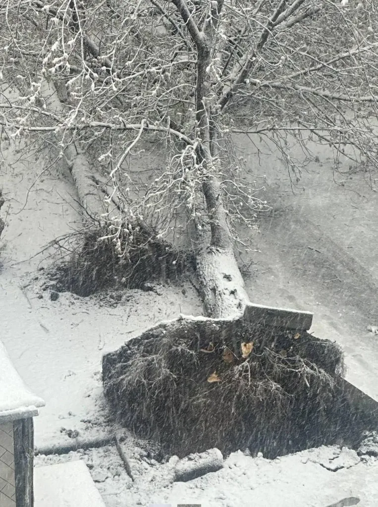 Транспортный коллапс парализовал Москву из-за апрельского снегопада: перегружено метро, автобусы и такси