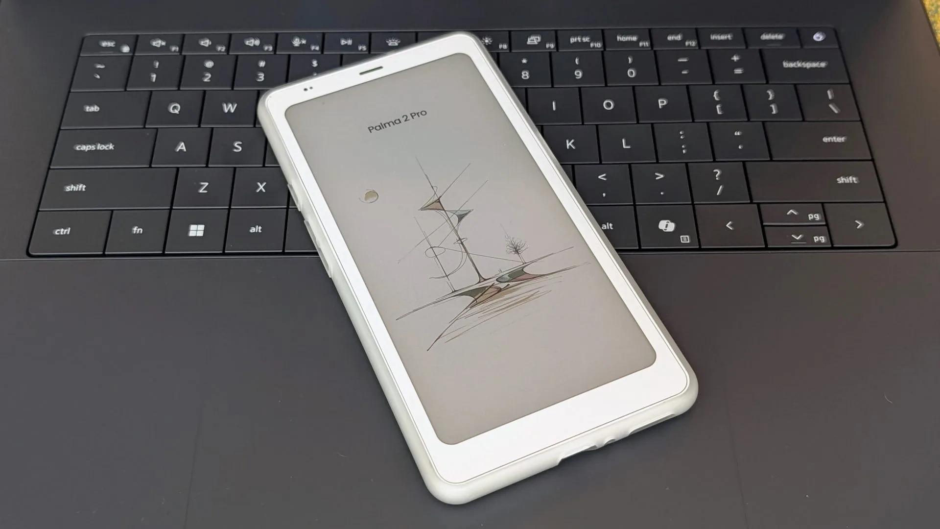 Обзор Onyx Boox Palma 2 Pro в России — цветная электронная книга с телефон картинка Ридер Onyx Boox Palma 2 Pro с SIM | DGL.RU