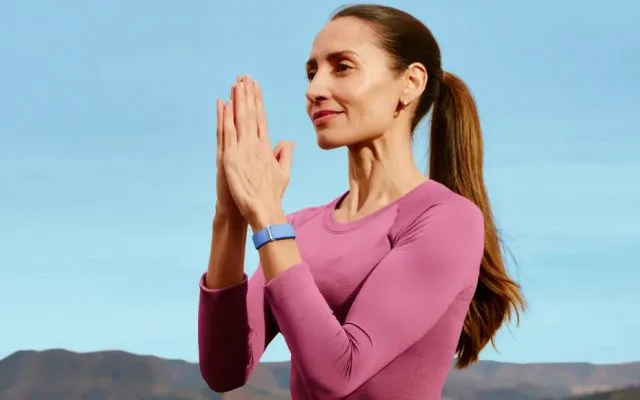 Стоит ли покупать трекер Google Fitbit Air? | DGL.RU