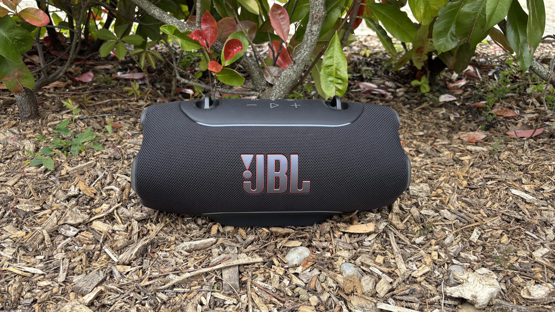 Обзор JBL Xtreme 5 - заметно прибавила в мощности картинка Беспроводная колонка JBL Xtreme 5 | DGL.RU