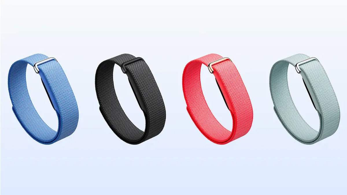 Стоит ли покупать трекер Google Fitbit Air? | DGL.RU