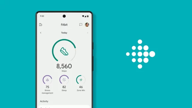 Ваш архив тренировок и данных о здоровье в Fitbit скоро исчезнет навсегда (1) Смарт-часы Fitbit: стоит ли их использовать? | DGL.RU