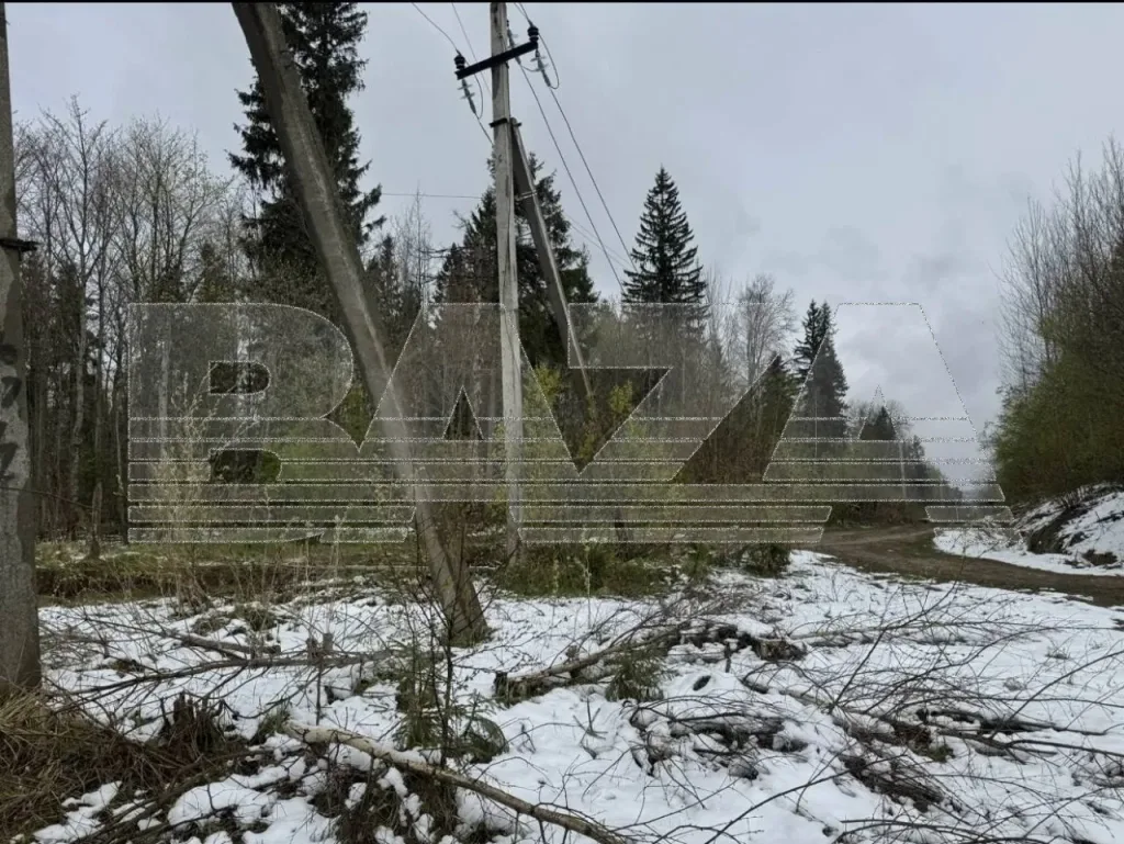 Более трех тысяч домов уже неделю остаются без света в Тверской области
