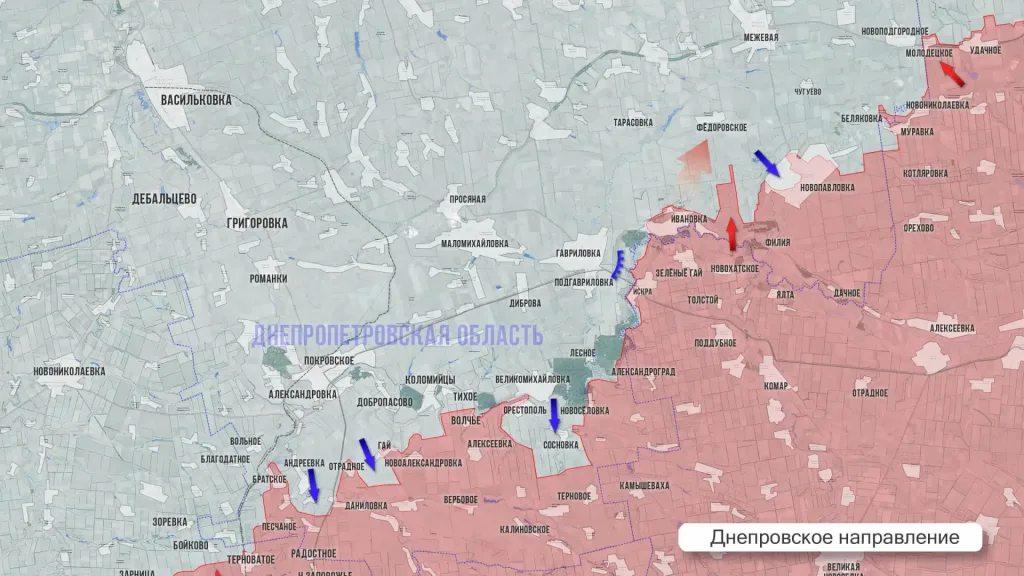 Царёв: Фронтовая сводка 12 мая 2026 года