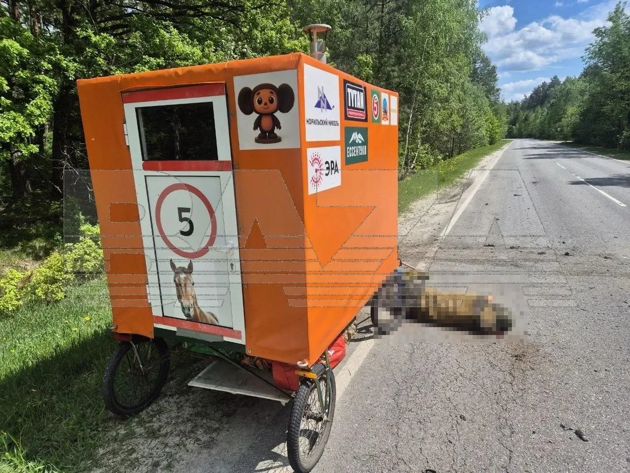 Путешественник Саша Конь погиб под Брянском после удара беспилотника — мужчина шёл пешком из России в Южную Америку с 300-килограммовой повозкой