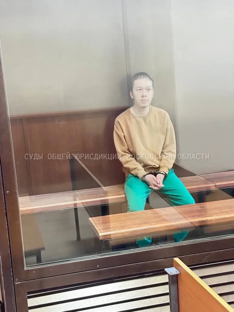 Покушение на убийство ребёнка в Подмосковье: суд отправил под стражу 21-летнего мигранта