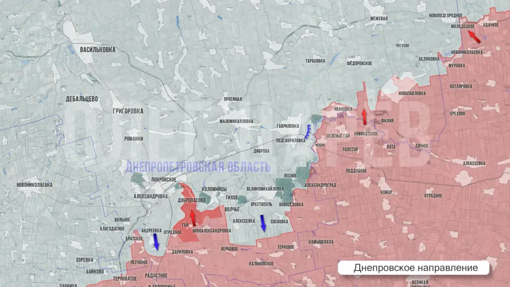 Царёв: Фронтовая сводка 27 мая 2026 года