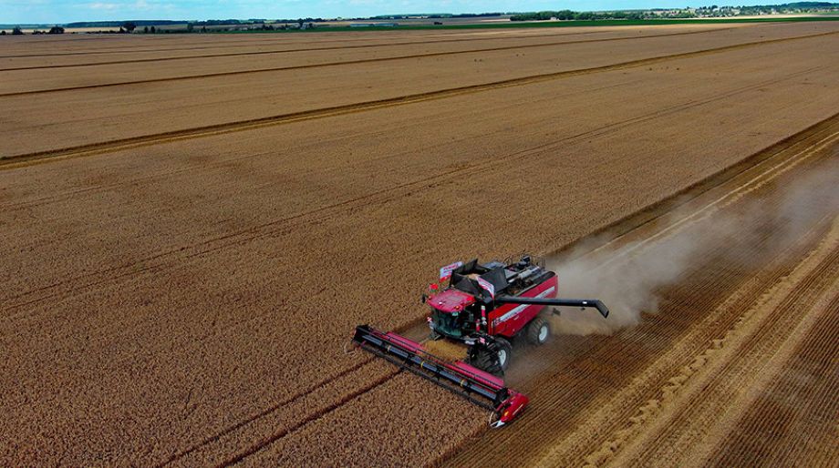 GS600 заменит GS12A1: новая эпоха для белорусских комбайнов