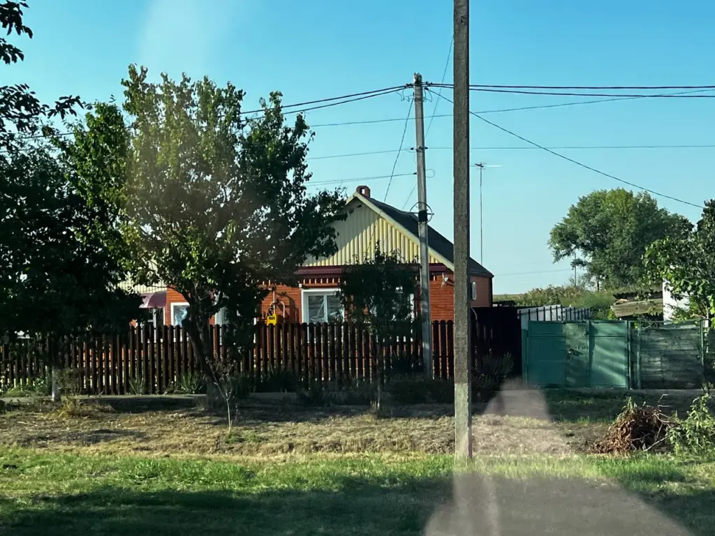 Прикрепила пакет с водой — и в доме больше нет мух: нелепый на вид, но эффективный лайфхак (выгоднее липучки)