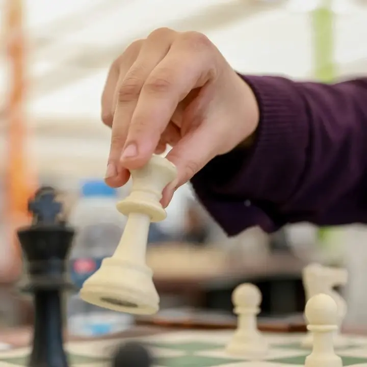 FIDE временно приостановила членство Федерации шахмат России
