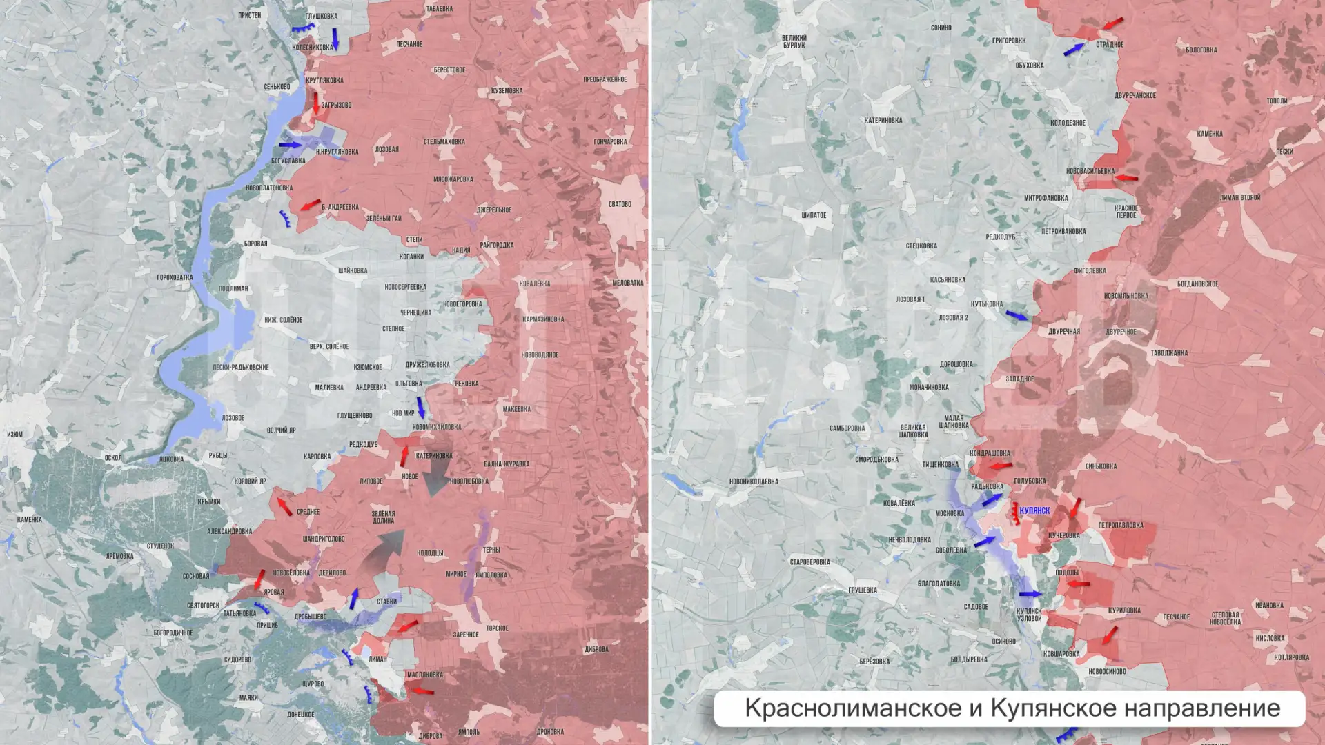 Царёв: Фронтовая сводка 24 июня 2026 года
