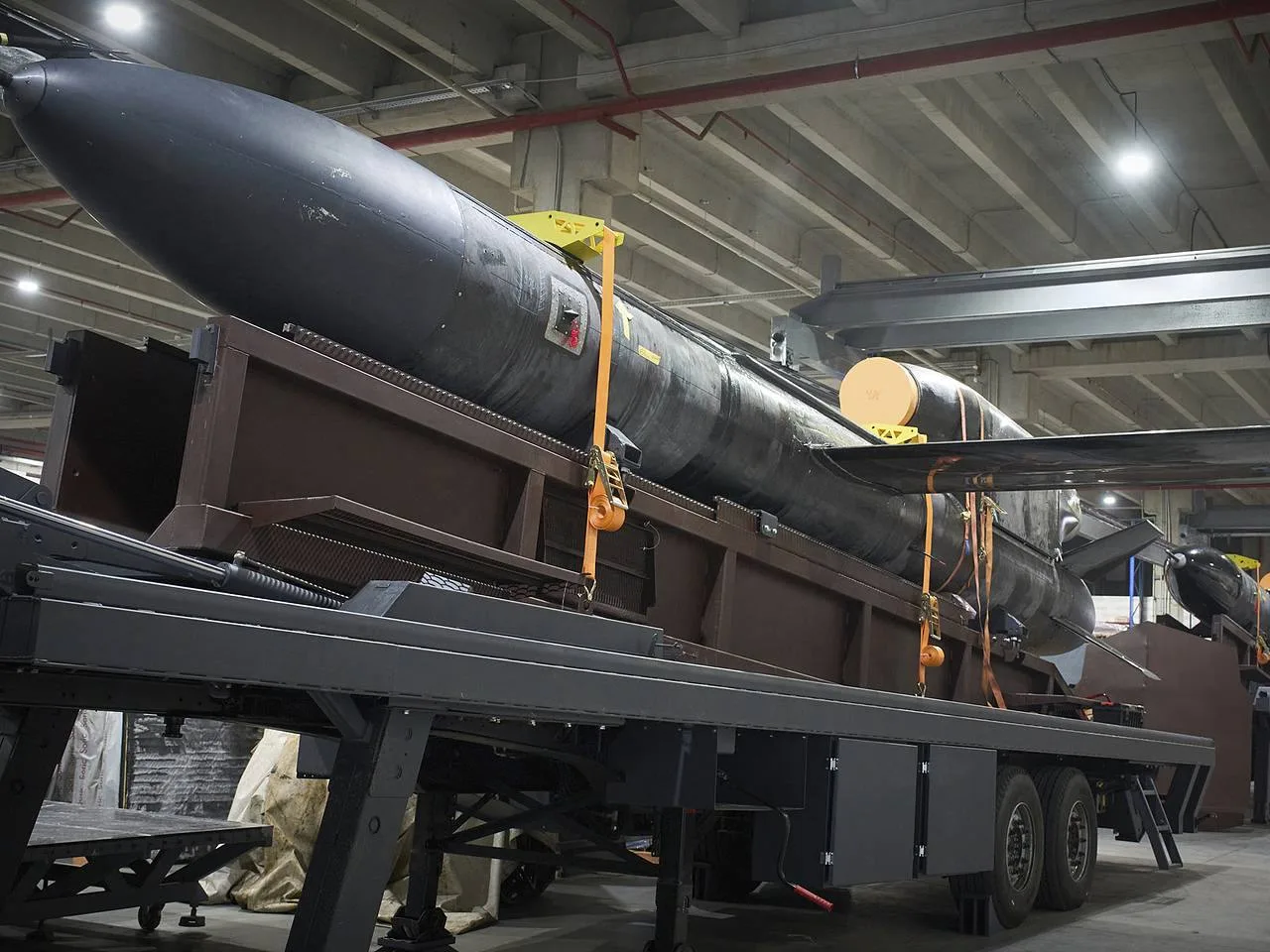 Немецкая компания Diehl Defence планирует производить украинские крылатые ракеты «Фламинго»