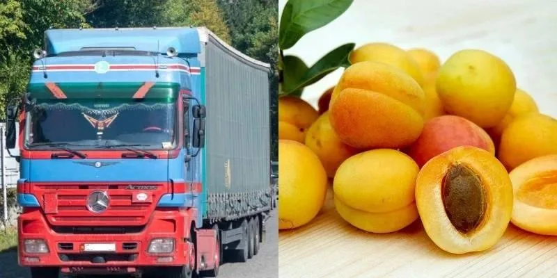 Хроники отказа Армении от российского рынка