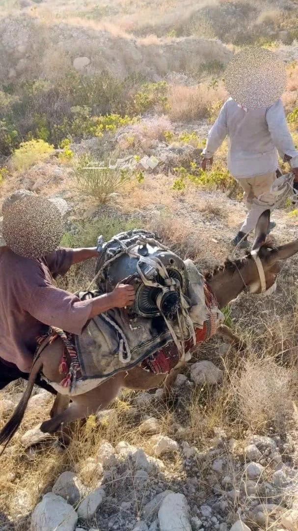 Двигатель американского беспилотника, сбитого ранее в иранских горах, спустили с горы на ослике