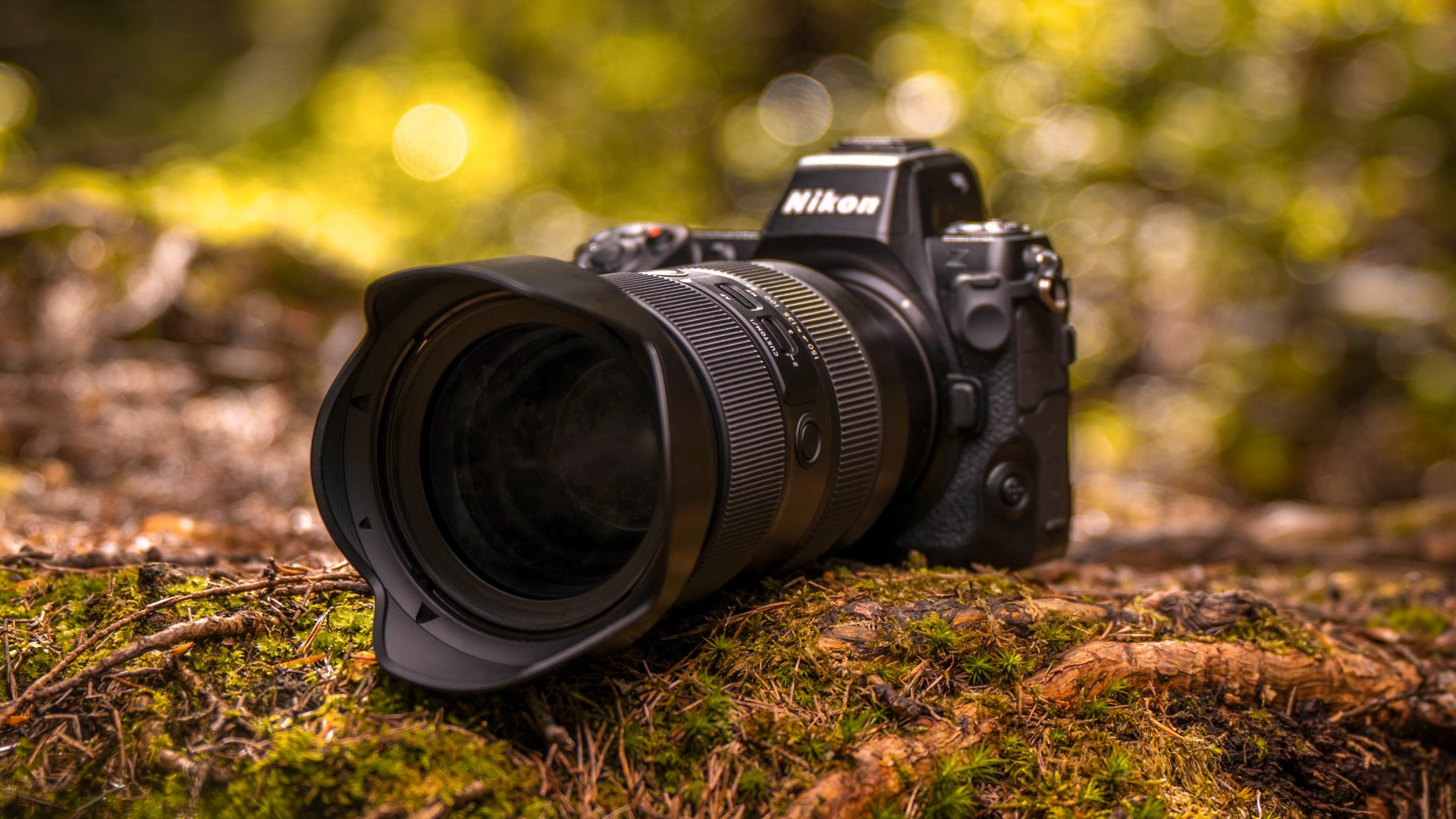 Лучшие суперзум-объективы для камер Nikon | DGL.RU