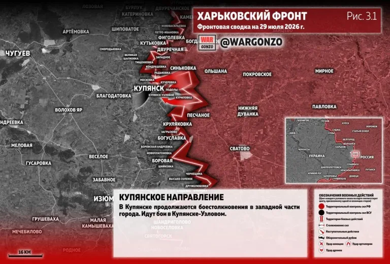 https://podolyaka.ru/wp-content/uploads/2026/07/25-1-768x520.webp