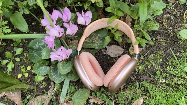 Обзор Apple AirPods Max 2: стоит ли покупать? | DGL.RU