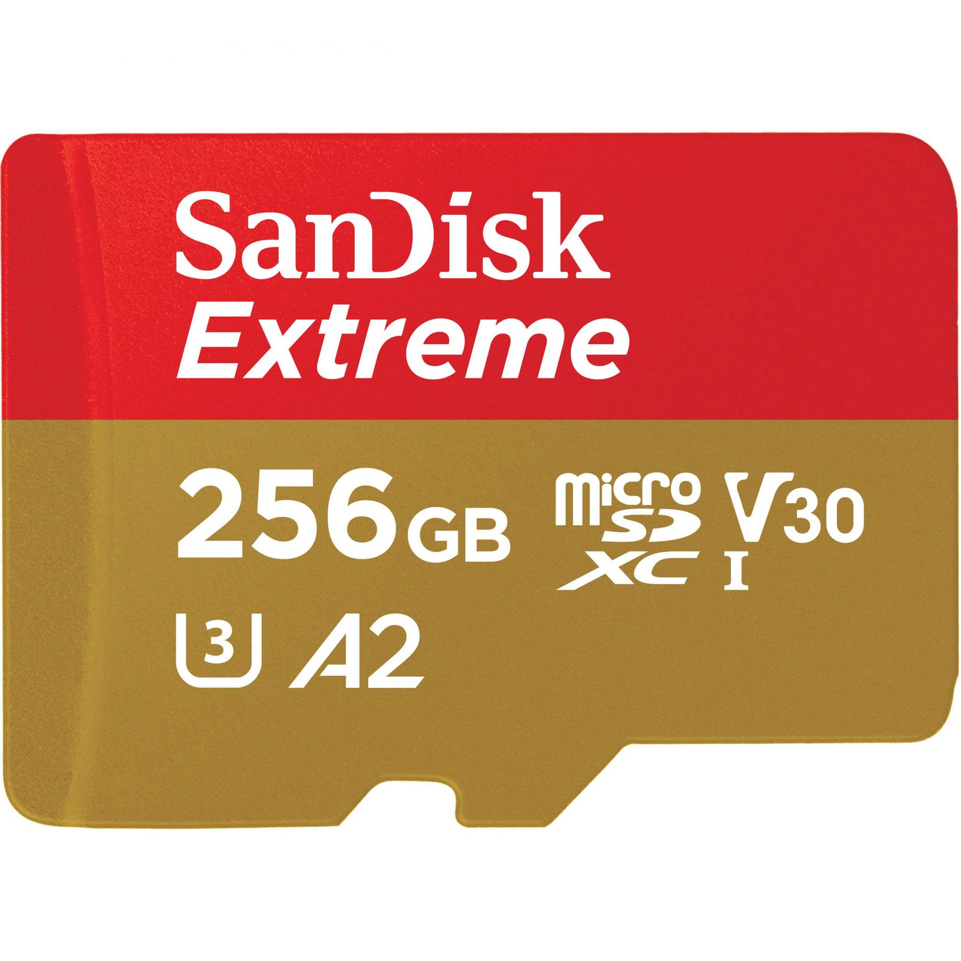 Лучшие microSD в 2026 году: карты памяти для телефонов, камер и дронов картинка Карты памяти microSD: что выбрать в 2026 | DGL.RU